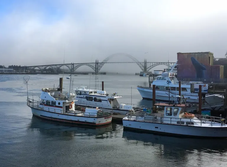 Fishing harbor and the Yaquina Bay Bridge in fog at Newport, Oregon
