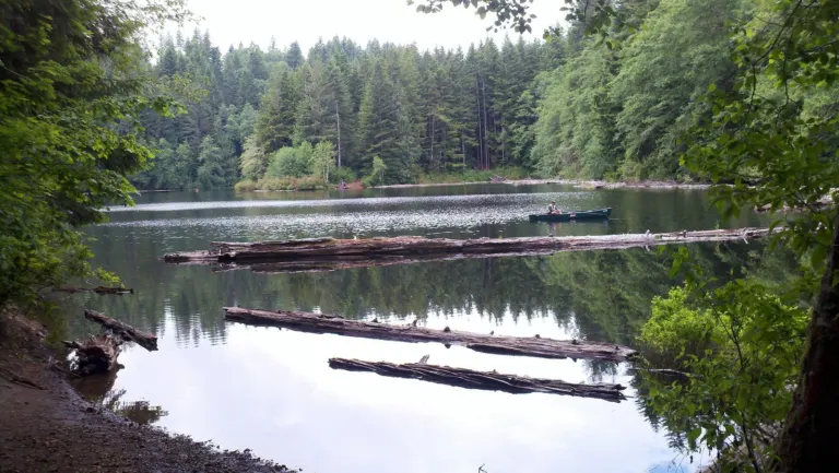 Lost Lake in the Clatsop State Forest, Astoria District