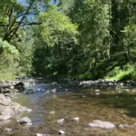 The Wilson River flowing through the Oregon Coast Range in Tillamook County