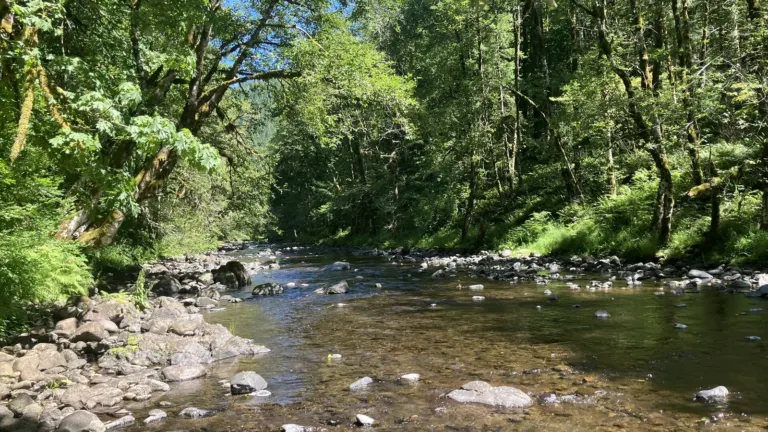 The Wilson River flowing through the Oregon Coast Range in Tillamook County