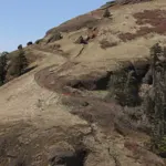 Saddle Mountain's rocky summit and trail in Saddle Mountain State Natural Area in the Oregon Coast Range